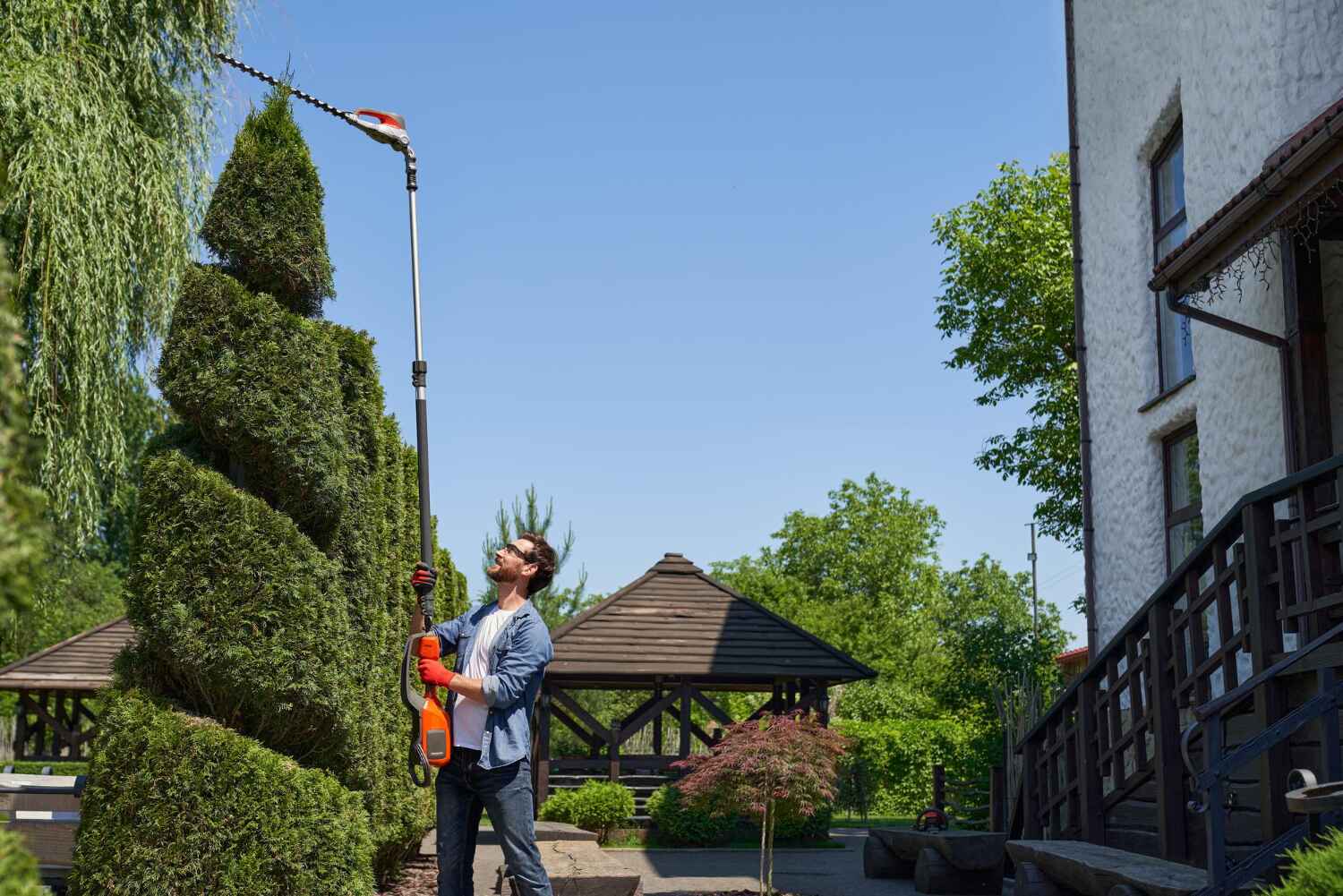 Residential Tree Removal in South Houston, TX